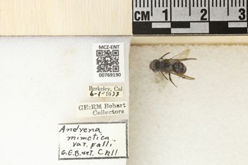 Media type: image;   Entomology 769190 Aspect: Labels